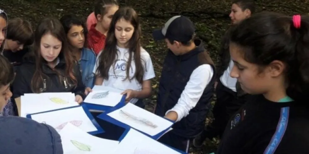 Para realizar o cadastro online, os responsáveis devem acessar o site oficial do município