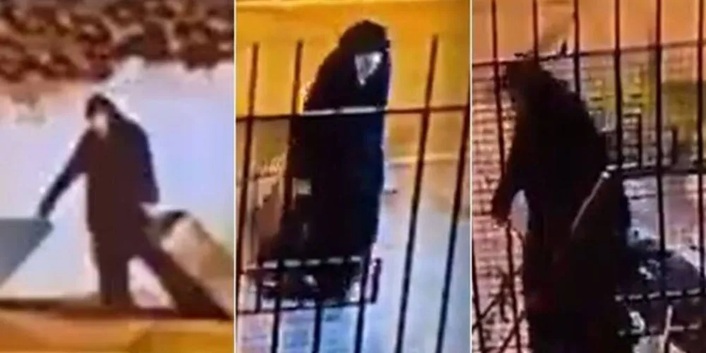 Lorenza Patricia, que ficou viúva em setembro de 2008 e possui três filhos, passou a apresentar "distúrbios psicológicos"