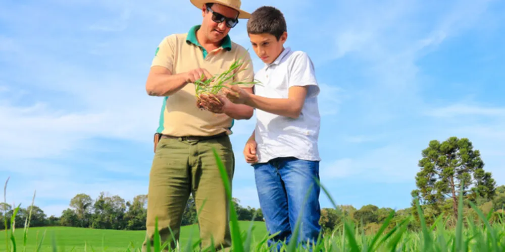 Qualquer dúvida é possível entrar em contato com o telefone/WhatsApp (42) 98815-0809