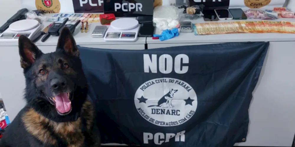 Apreensão aconteceu nessa quinta-feira (21)