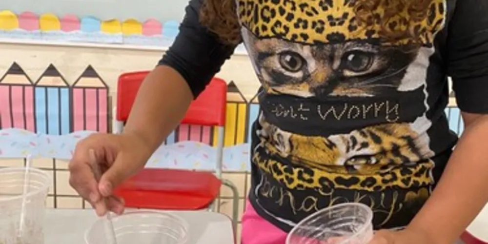 Vários conceitos acessíveis foram apresentados aos alunos na experiência