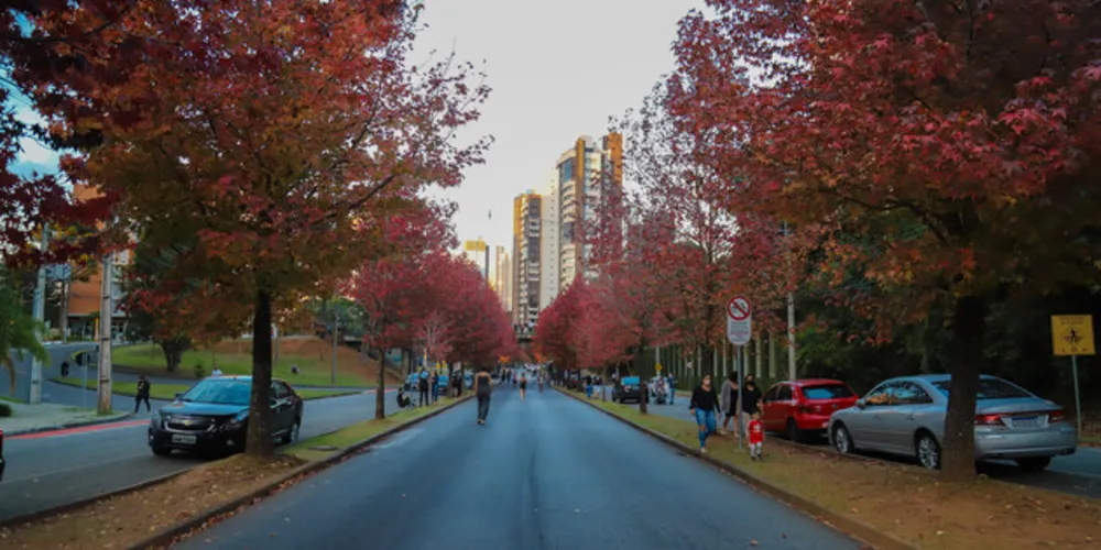 Outono terá veranicos, nevoeiros, geadas e diminuição das chuvas no Paraná