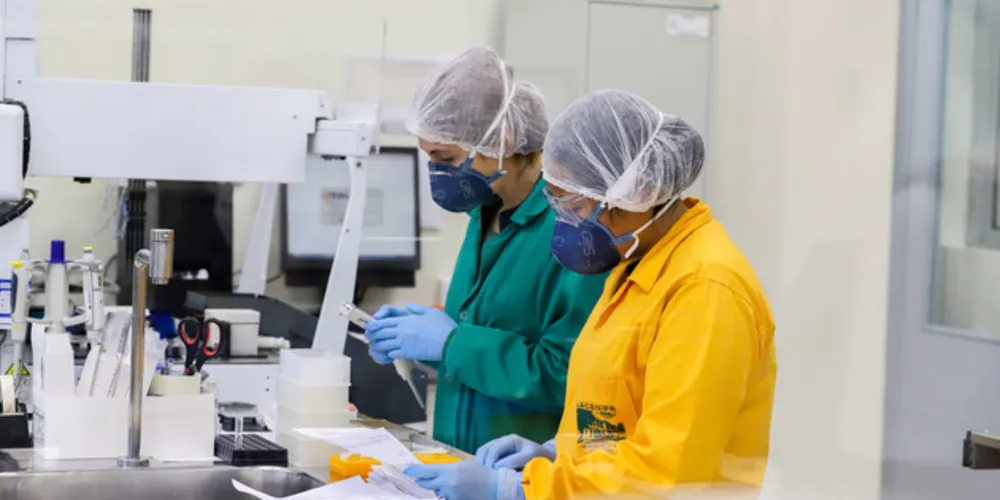 Saúde confirma novo caso de febre do oropouche no Paraná