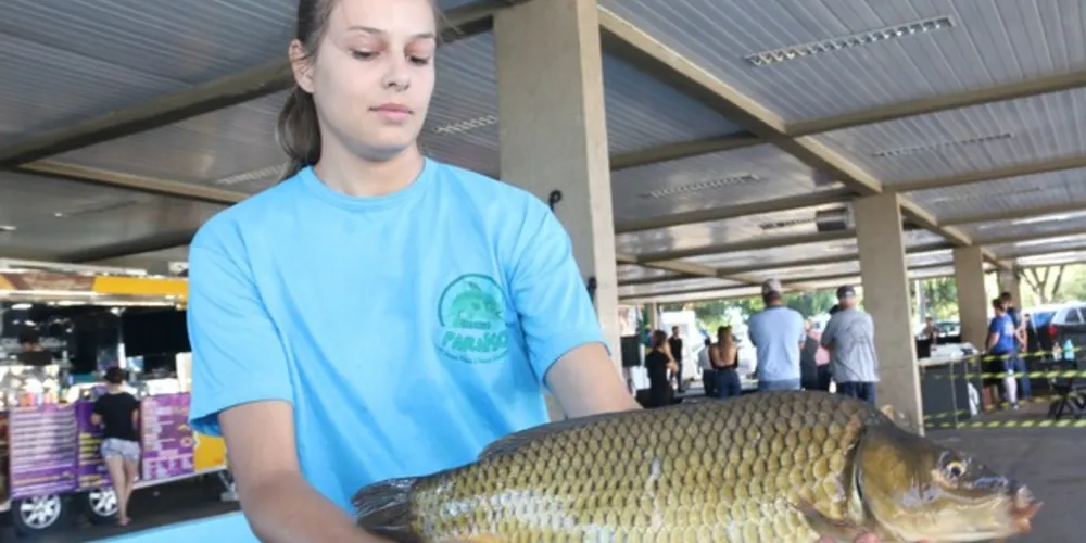 Ao todo serão colocados à disposição do público cerca de dez toneladas de peixe