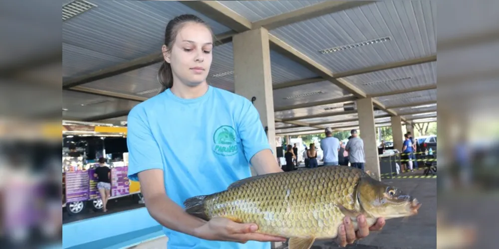 Ao todo serão colocados à disposição do público cerca de dez toneladas de peixe