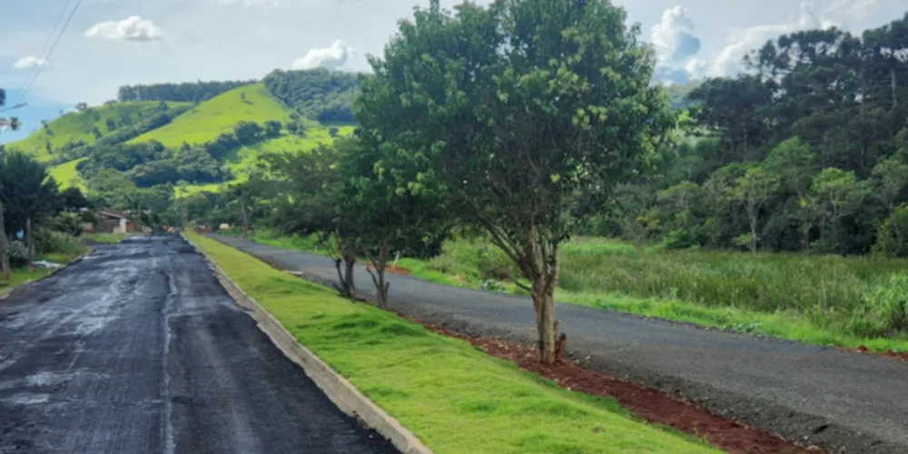 A Secretaria de Agricultura e Meio Ambiente informou que mais de 100 mudas de árvores