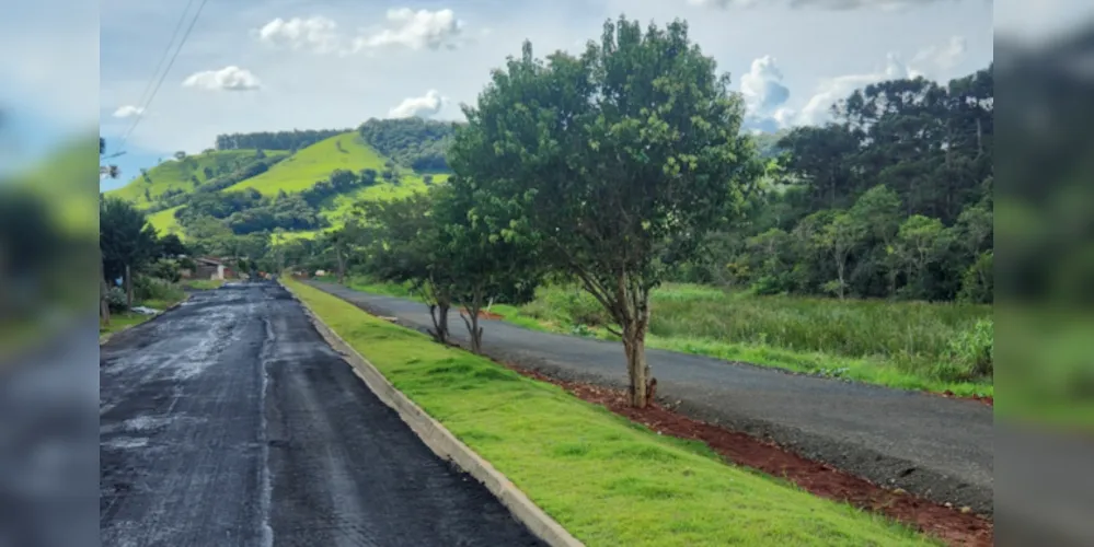 A Secretaria de Agricultura e Meio Ambiente informou que mais de 100 mudas de árvores