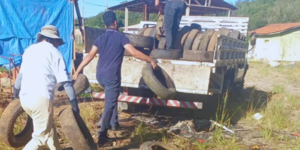 A Prefeitura vem realizando diversas ações para combater os focos do mosquito