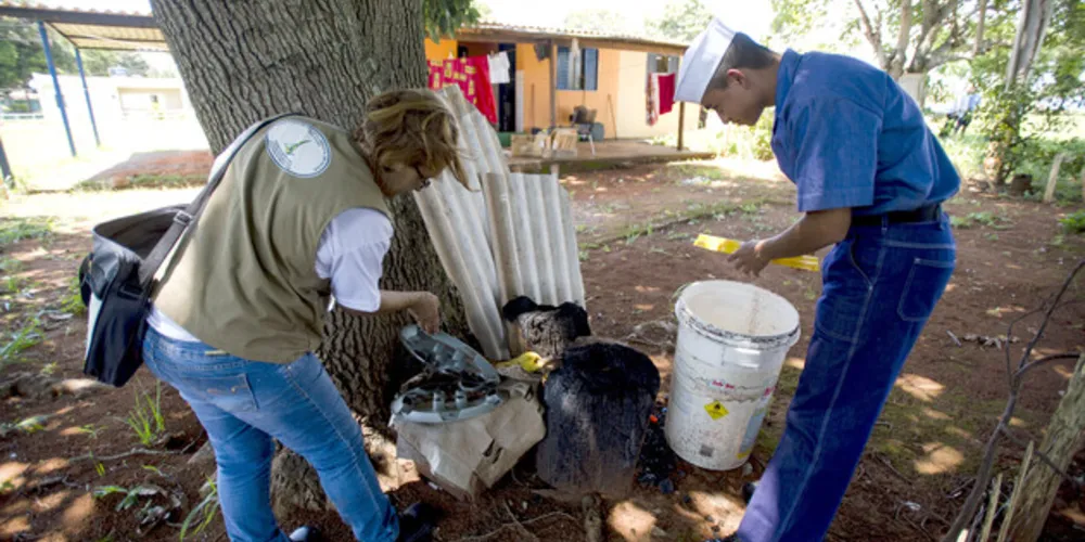 Cidades dos Campos Gerais se uniram junto ao Dia D contra a dengue