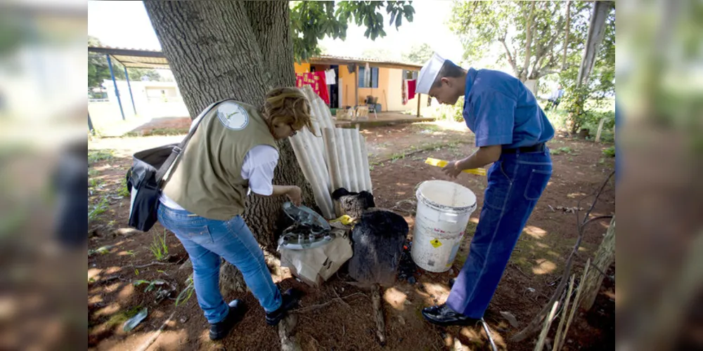 Cidades dos Campos Gerais se uniram junto ao Dia D contra a dengue