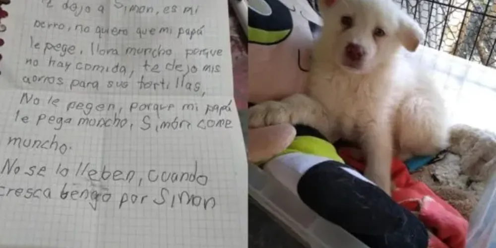 A criança prometeu buscar o cãozinho quando completar 18 anos