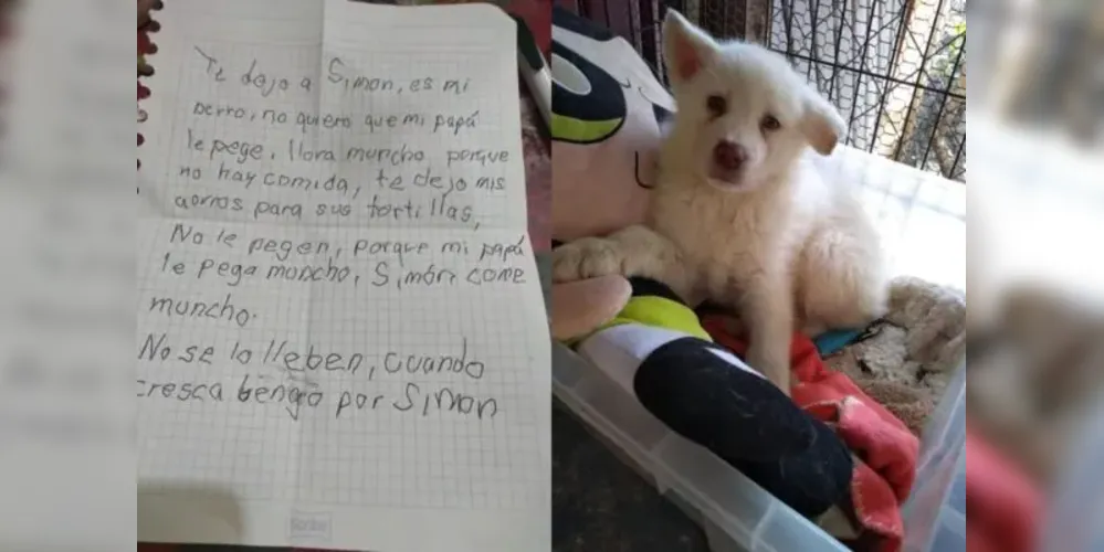 A criança prometeu buscar o cãozinho quando completar 18 anos