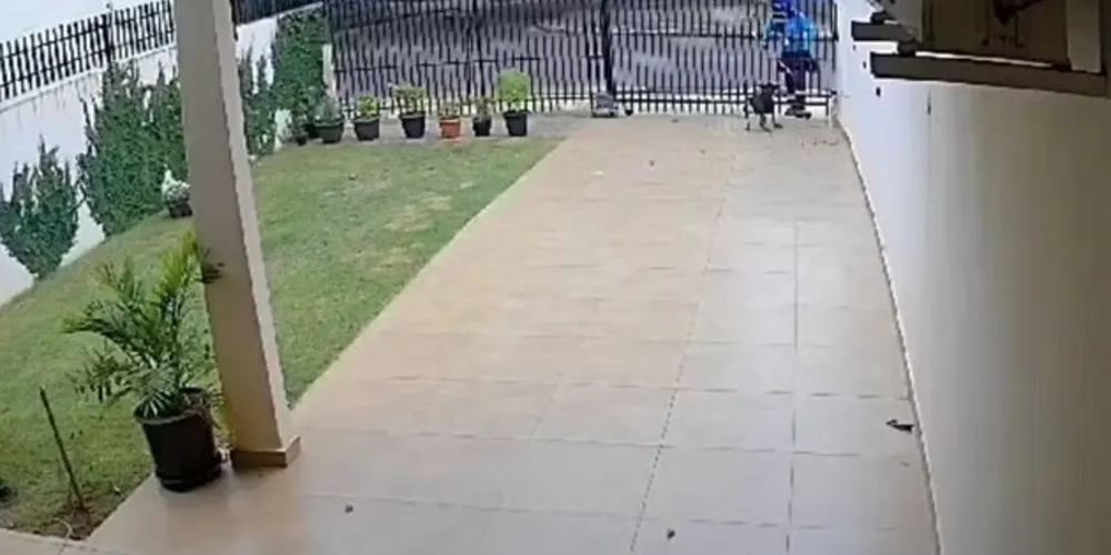 Violência foi registrada por câmera de segurança