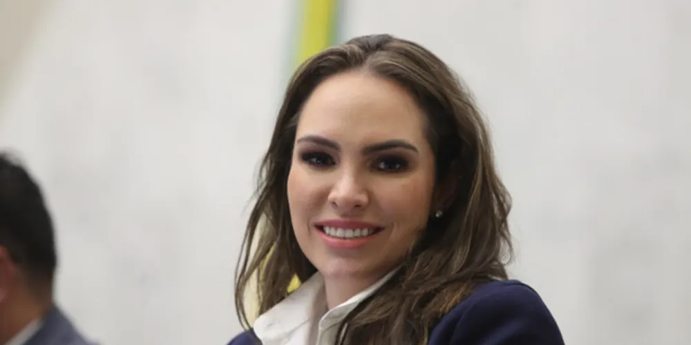 Deputada Maria Victoria (PP) explica que o objetivo é estimular a criação de eixos locais de comércio nos municípios paranaenses gerando renda, empregos e oportunidades
