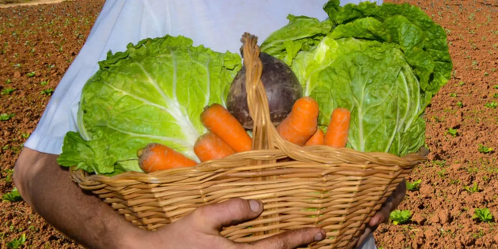 Índice analisa se gastos com comida não comprometem outras necessidades
