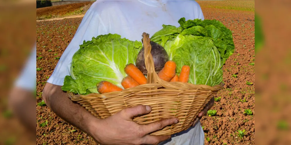 Índice analisa se gastos com comida não comprometem outras necessidades