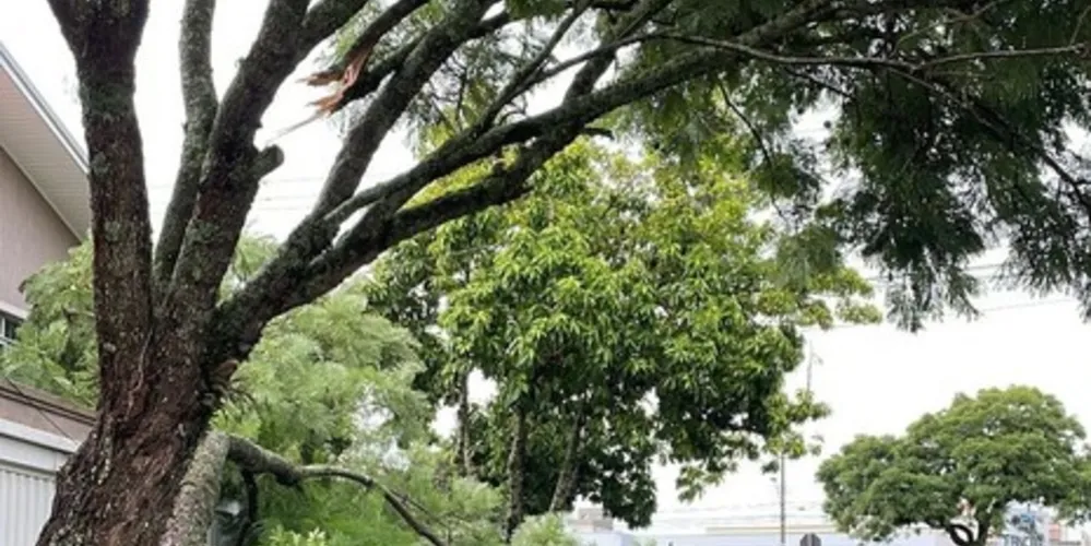 Queda aconteceu no Jardim Carvalho