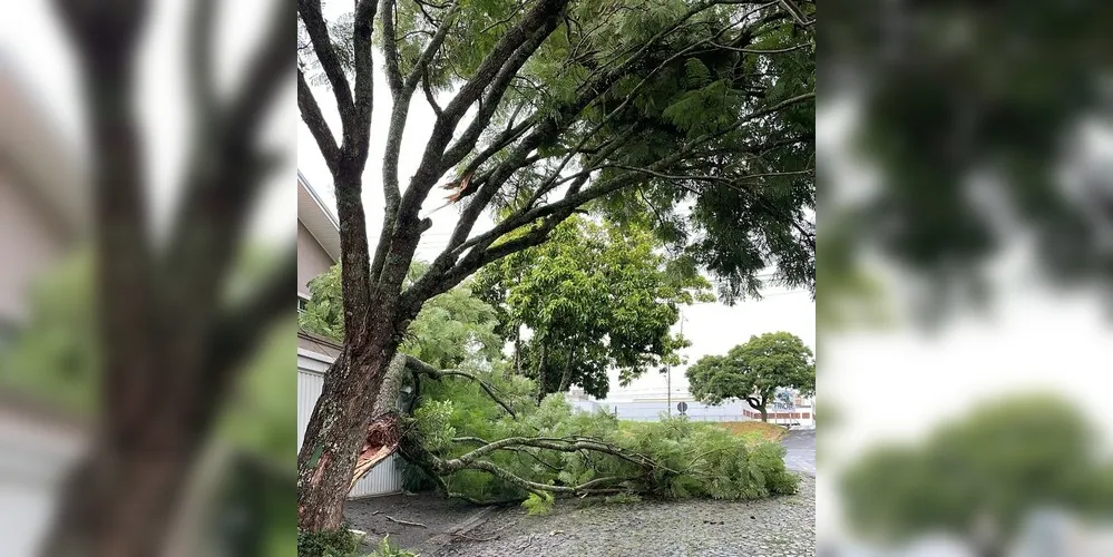 Queda aconteceu no Jardim Carvalho