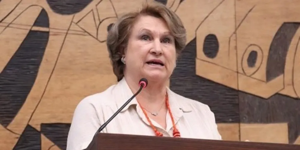 Recentmente, Cirlei Pauliki esteve presente na Câmara e apresentou números do IMM