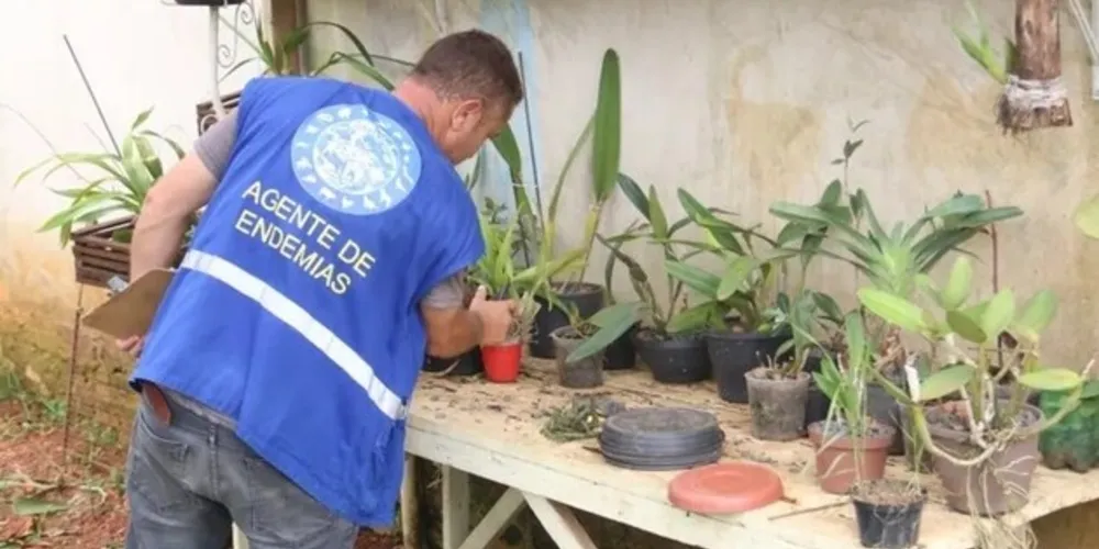 Fundação Municipal de Saúde realiza ações para combater o mosquito