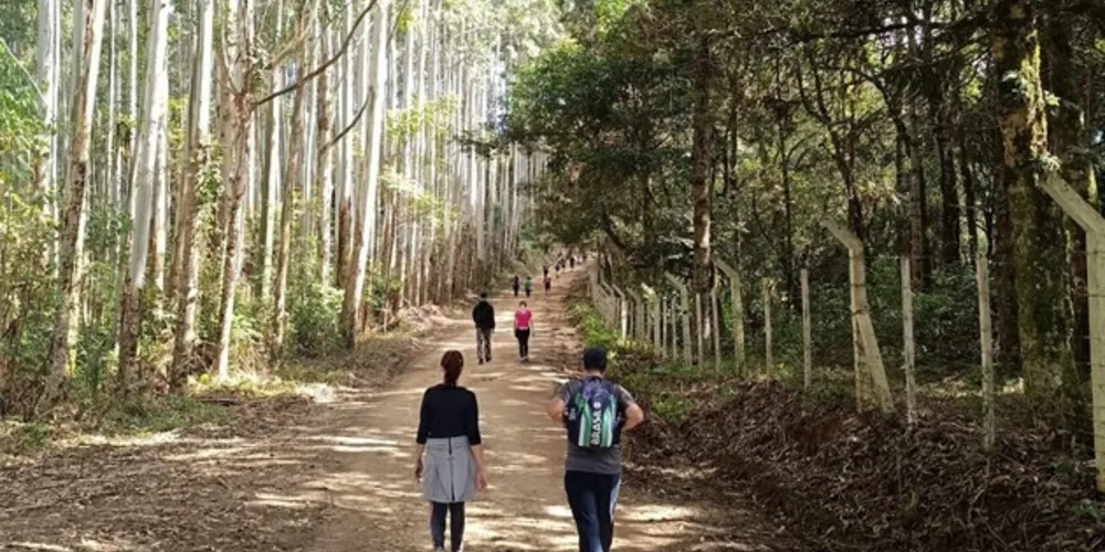 Atividades aconteceram no último domingo (21), em Ponta Grossa