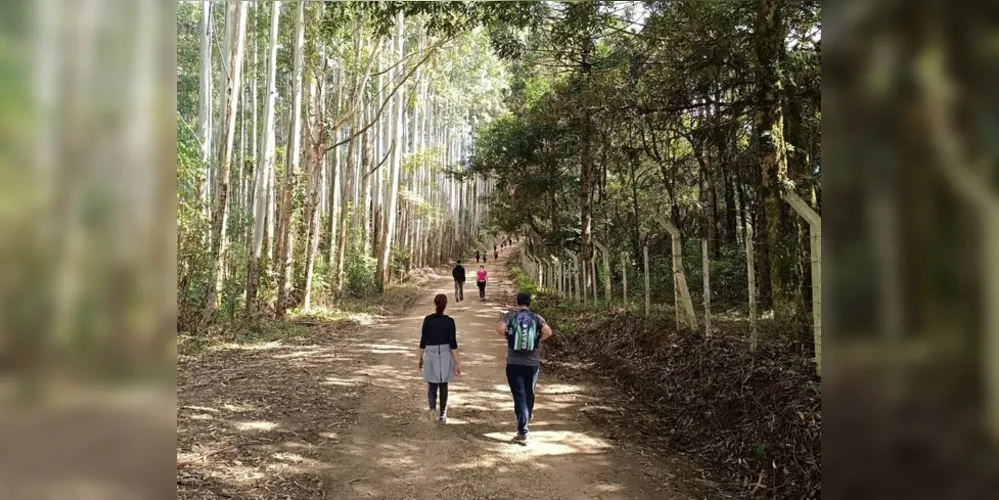 Atividades aconteceram no último domingo (21), em Ponta Grossa