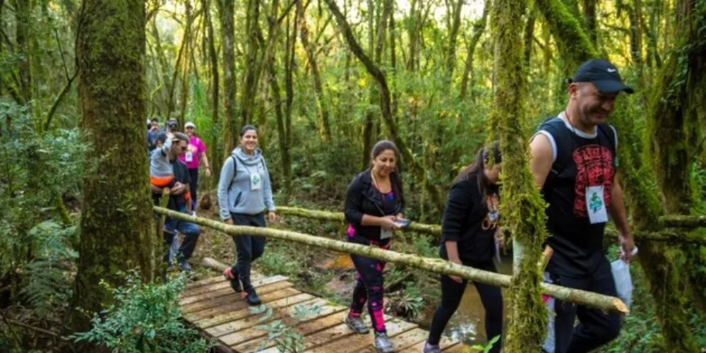 A largada e chegada da caminhada serão na Parada do Guartelá
