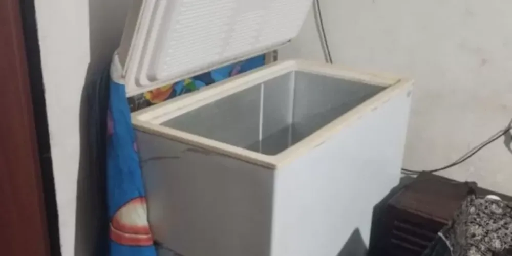 A avó do menino informou que o freezer estava deligado e não era mais utilizado