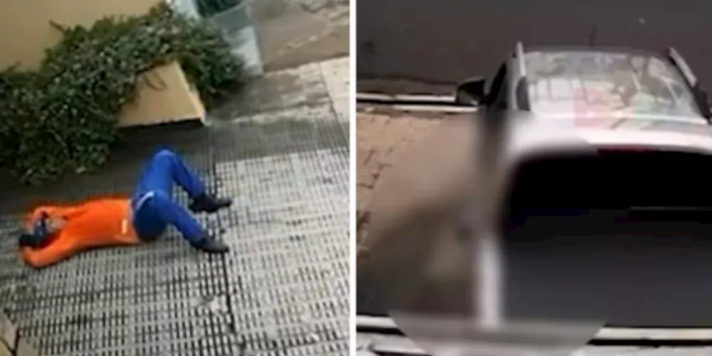 Gari foi atropelado e resgatado pelos bombeiros