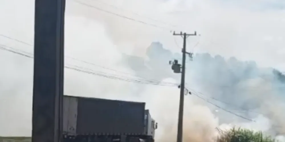 Incêndio em vegetação às margens da rodovia produziu a fumaça
