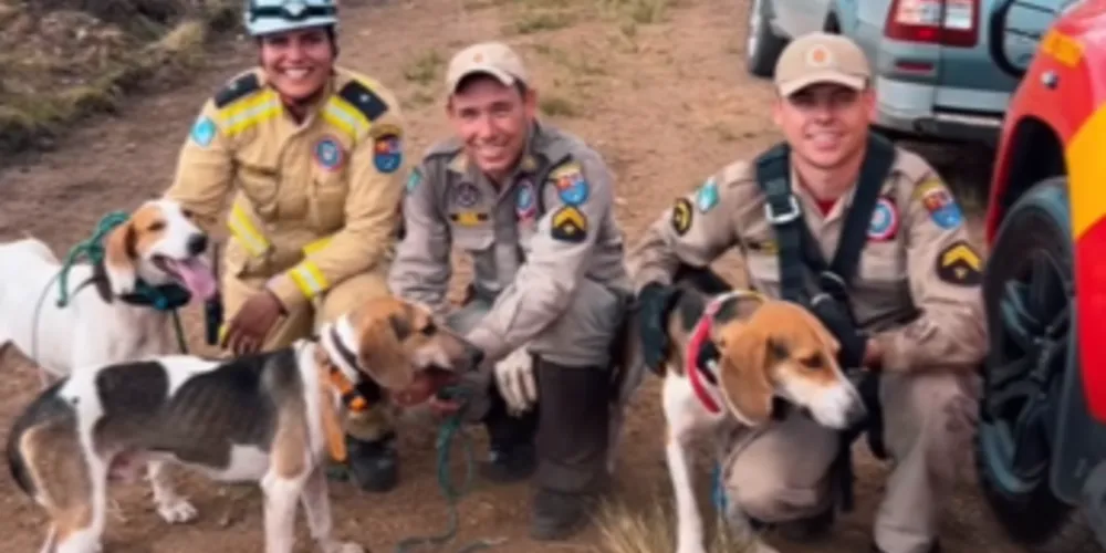 Baruk, Chorão e Guri foram resgatados com sucesso