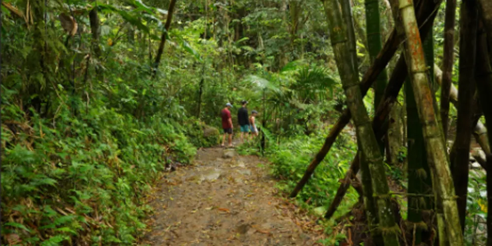 Evento conta com café da manhã e almoço