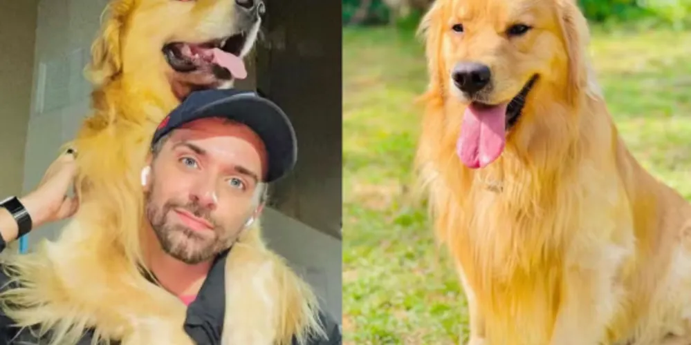 Tutor João Fantazzini com Joca, Golden Retriever de 5 anos que morreu durante transporte aéreo da Gol