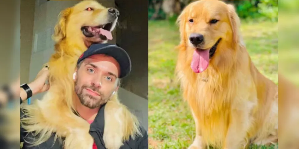 Tutor João Fantazzini com Joca, Golden Retriever de 5 anos que morreu durante transporte aéreo da Gol