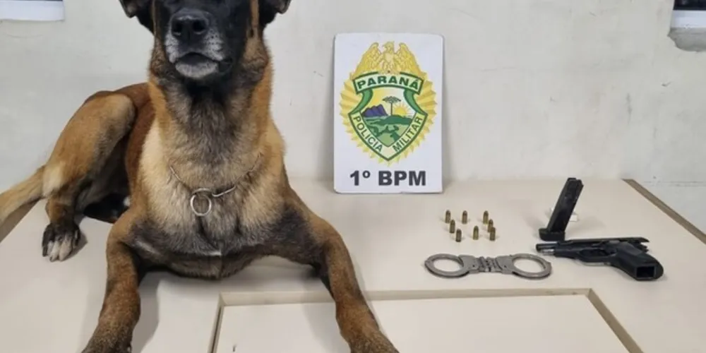 PM apreendeu pistola e munições