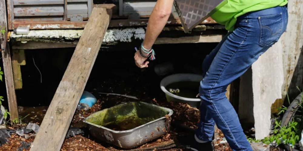 Estado intensificará as ações de combate à dengue no Paraná