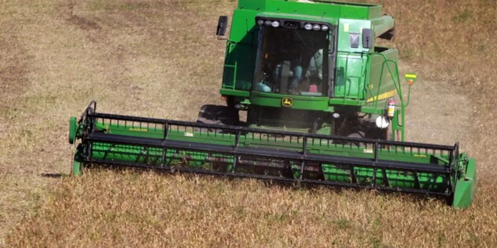 Paraná inicia colheita da segunda safra com perspectiva de recorde na produção de feijão