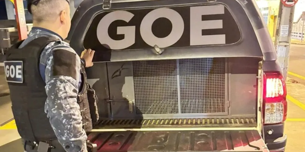 'Equipe GOE Bravo' foi acionada para a ocorrência