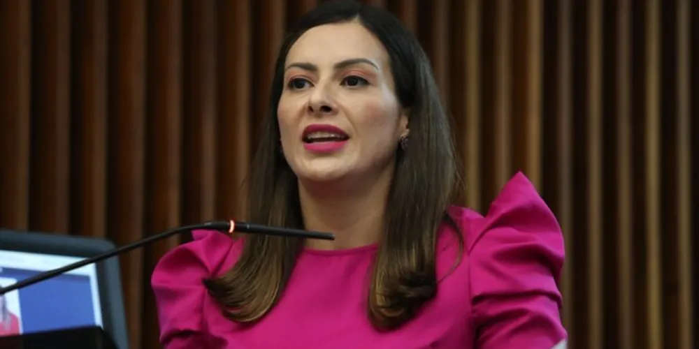 Para Mabel Canto a implementação desta medida deve ajudar a fortalecer as ações de prevenção