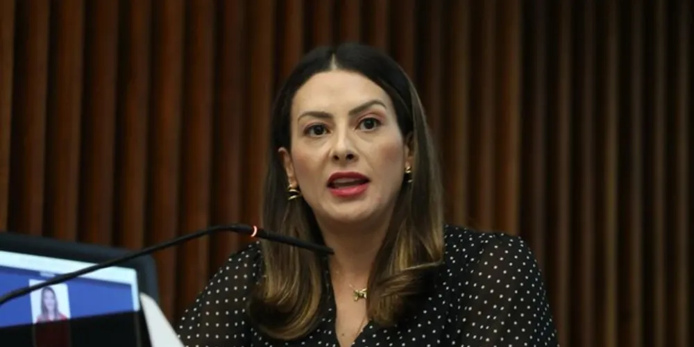 Mabel pede atitude por parte da Secretaria e do Governo para que o índice de acidentes diminua nas estradas