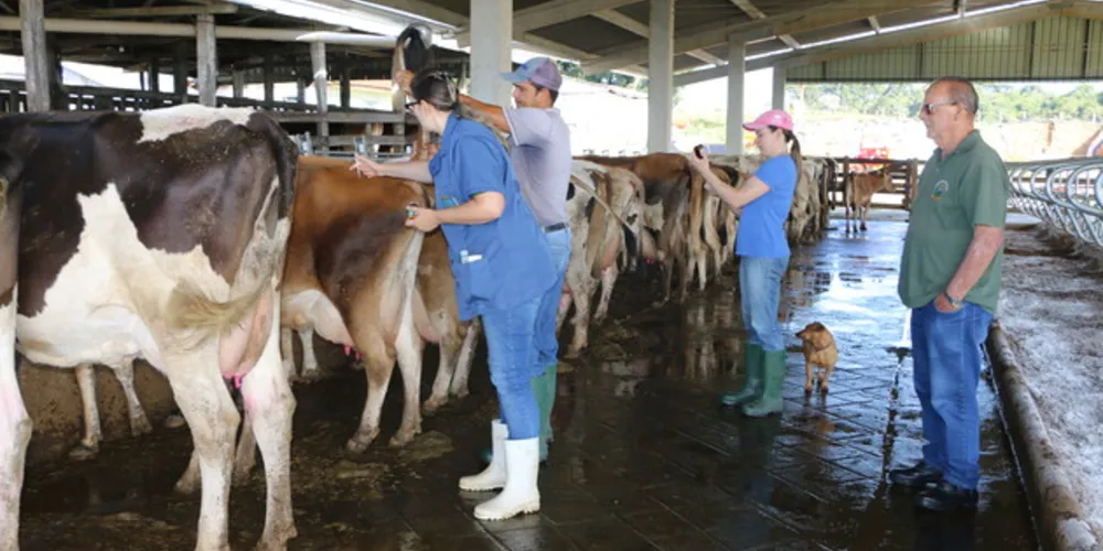 Para participar basta que o produtor rural faça seu cadastro junto à Secretaria Municipal de Agricultura