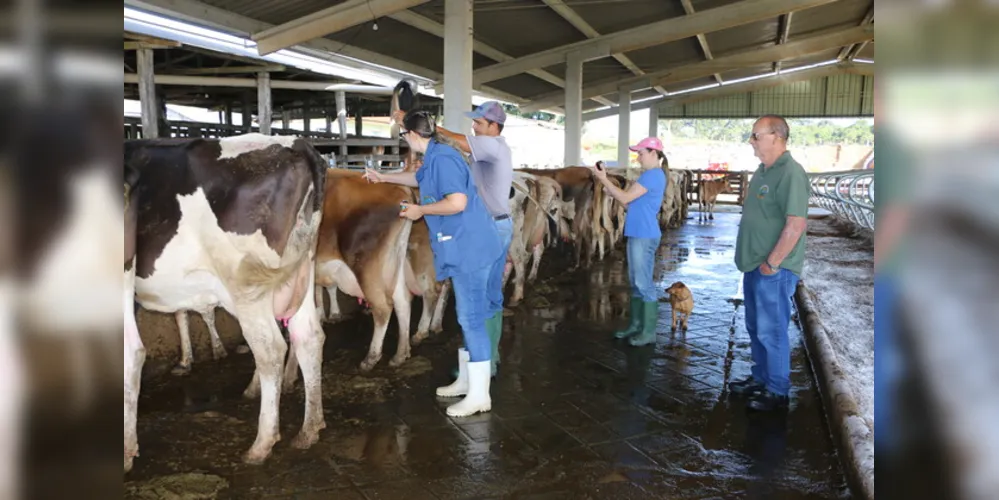 Para participar basta que o produtor rural faça seu cadastro junto à Secretaria Municipal de Agricultura