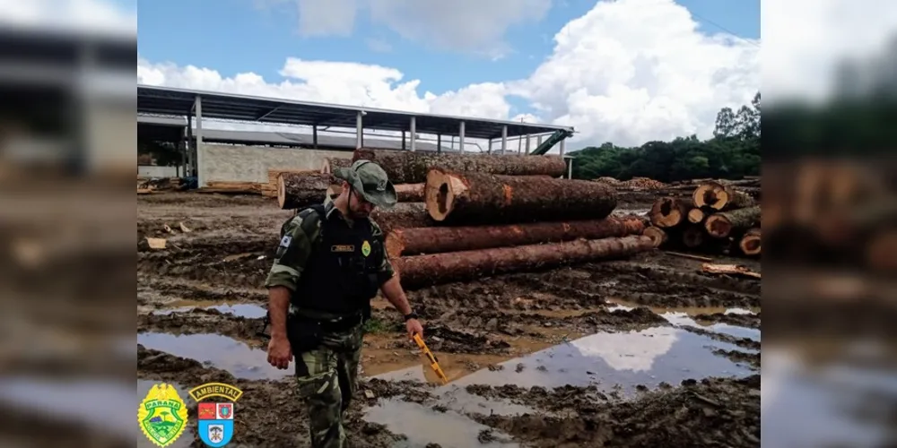 A equipe constatou o depósito irregular de 124 metros cúbicos de madeira de lei (pinheiro e imbuia)