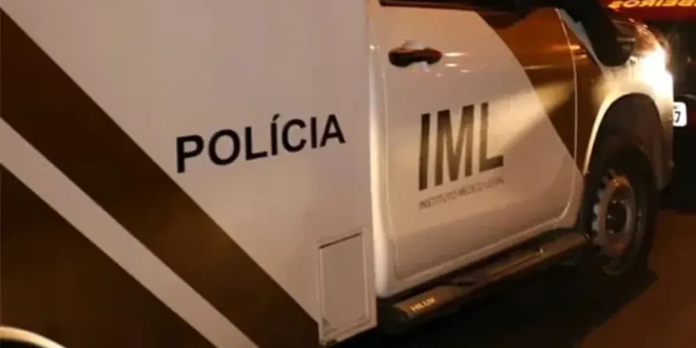 O menino foi levado para o hospital, mas não resistiu aos ferimentos