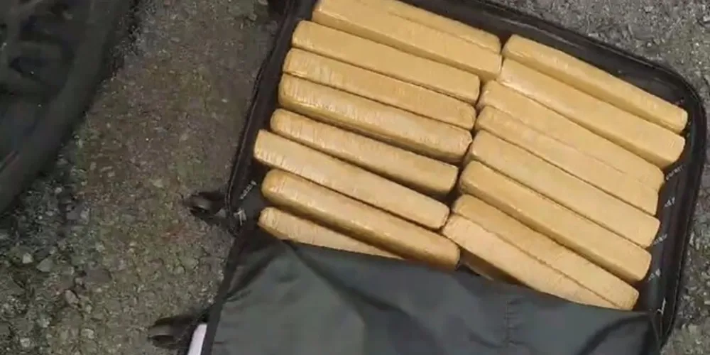 Durante a fiscalização foram encontradas caixas e malas cheias de maconha