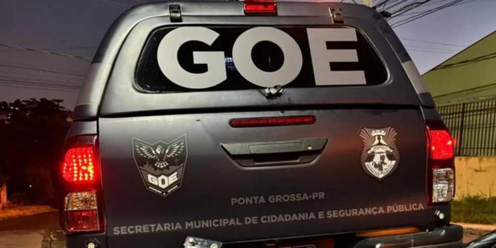Equipe GOE, da Guarda Municipal, atendeu a ocorrência