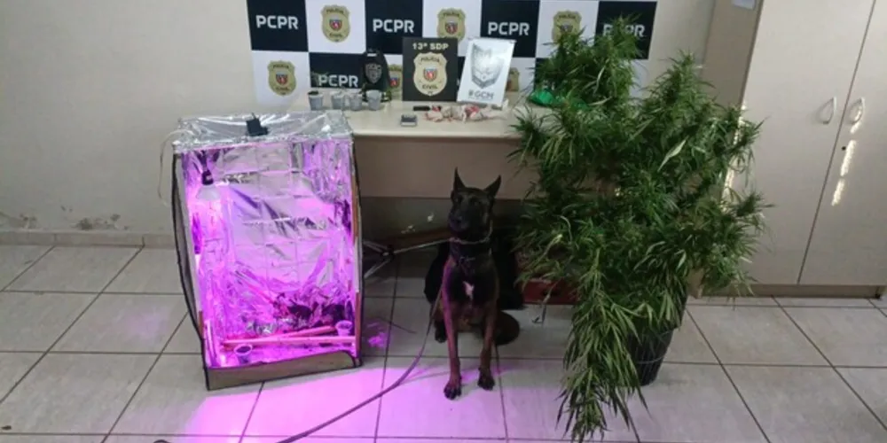 Operação aconteceu na manhã desta quinta-feira (04)