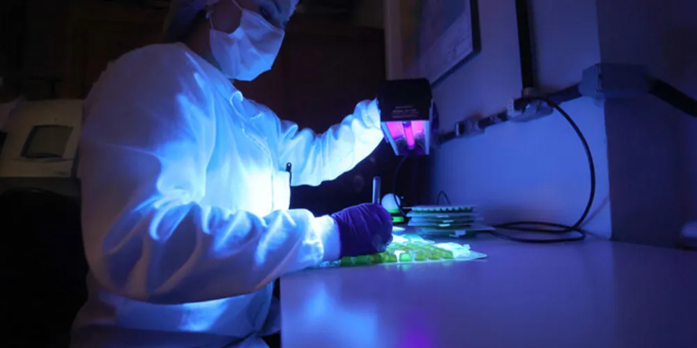 Os recursos do Fundo Paraná são distribuídos de acordo com o direcionamento do Conselho Paranaense de Ciência e Tecnologia