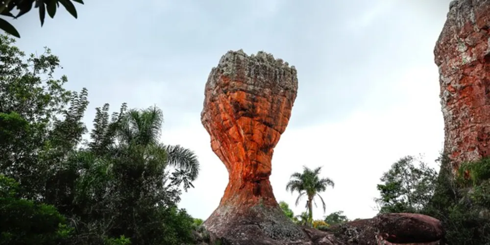 Parque de Ponta Grossa realizará a campanha até 20 de maio