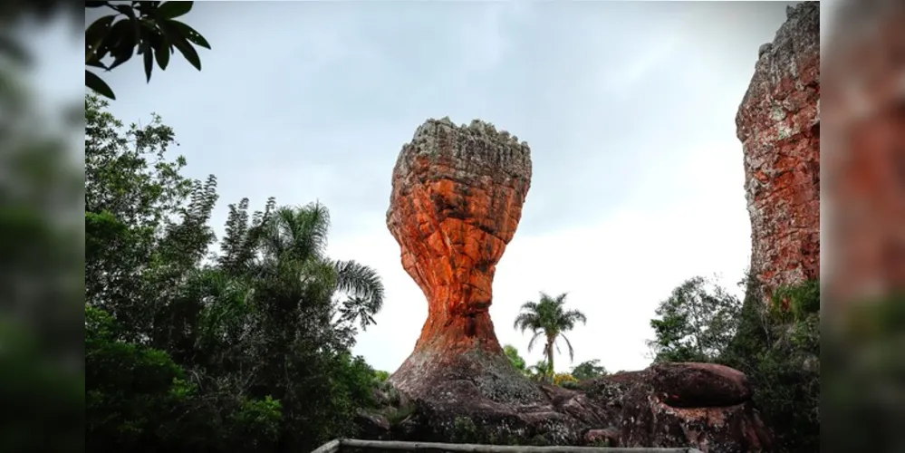 Parque de Ponta Grossa realizará a campanha até 20 de maio